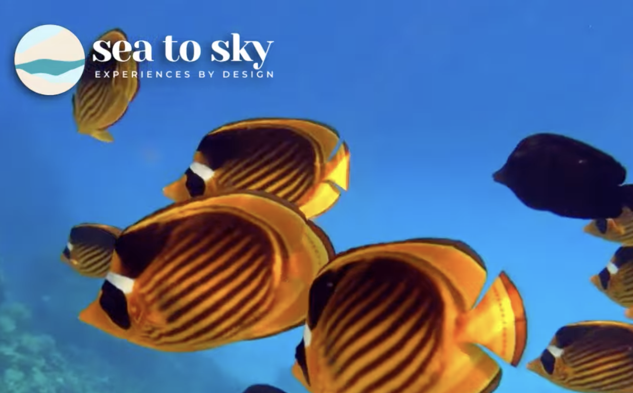 Free-diving Holidays