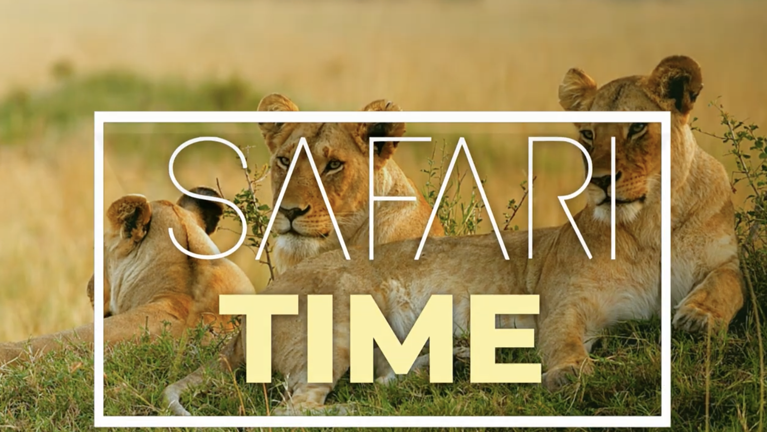 Safari Time